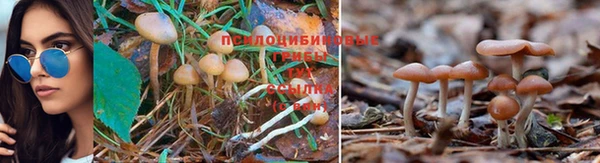 метадон Армянск
