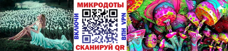 Галлюциногенные грибы Psilocybe купить сайты Нижняя Тура